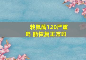 转氨酶120严重吗 能恢复正常吗